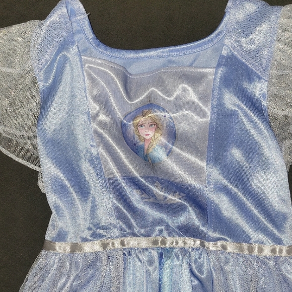 Frozen II Elsa Princess Dress with Sheer Sleeves Nightgown 6x - Picture 2 of 10